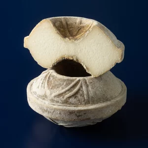 imagen queso tronchon del reyno