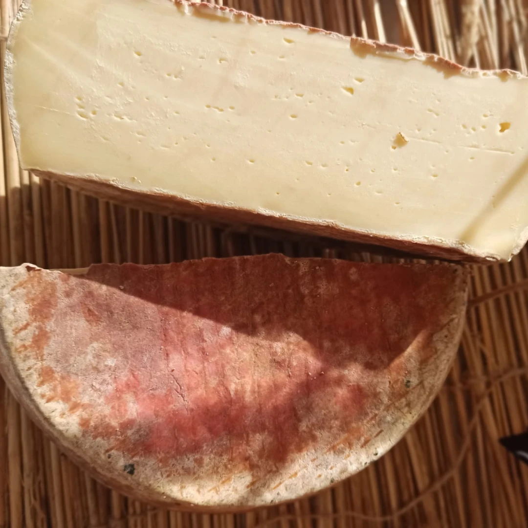 Imagen del queso maduro muuxu